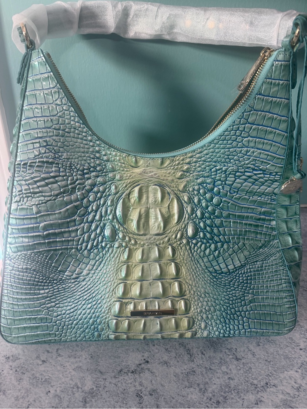Brahmin Tabitha Melbourne Bag